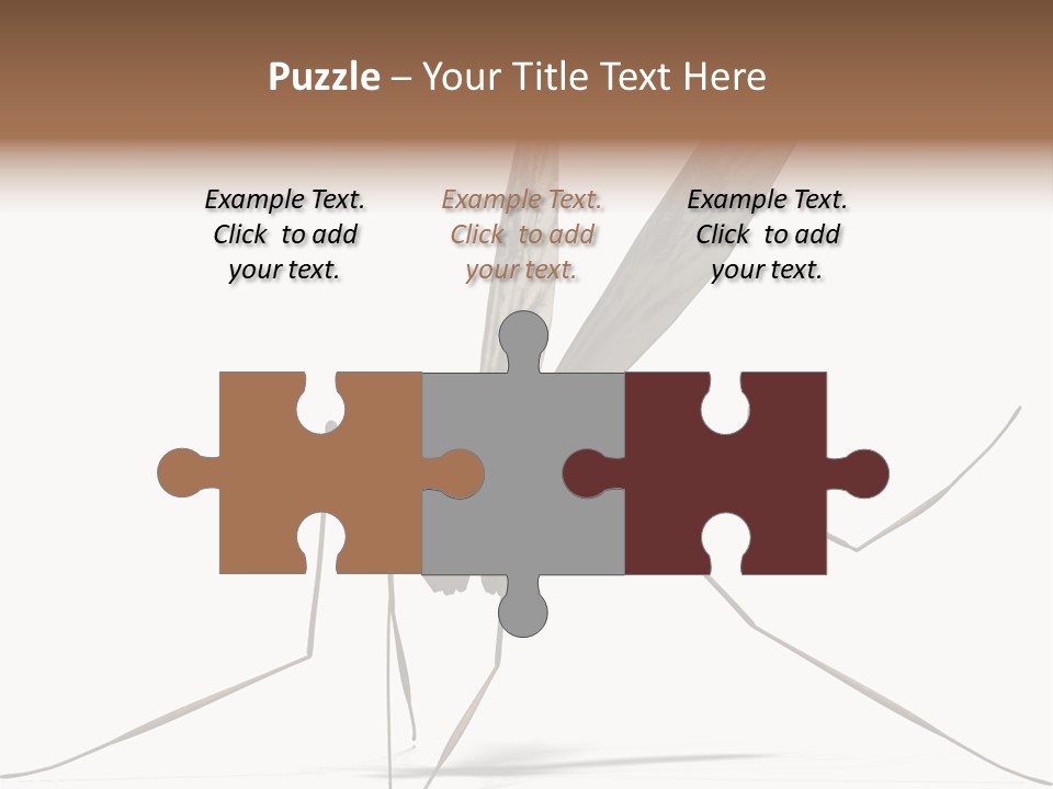 Krankheit Nuisance Zecke PowerPoint Template