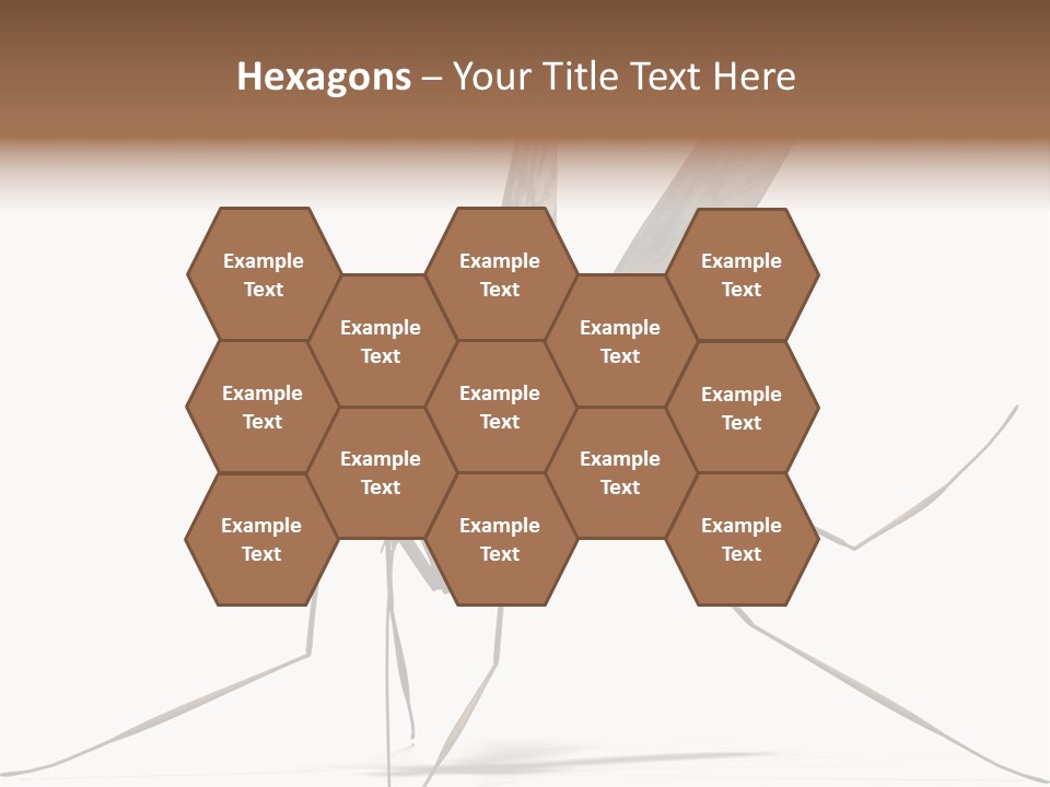 Krankheit Nuisance Zecke PowerPoint Template