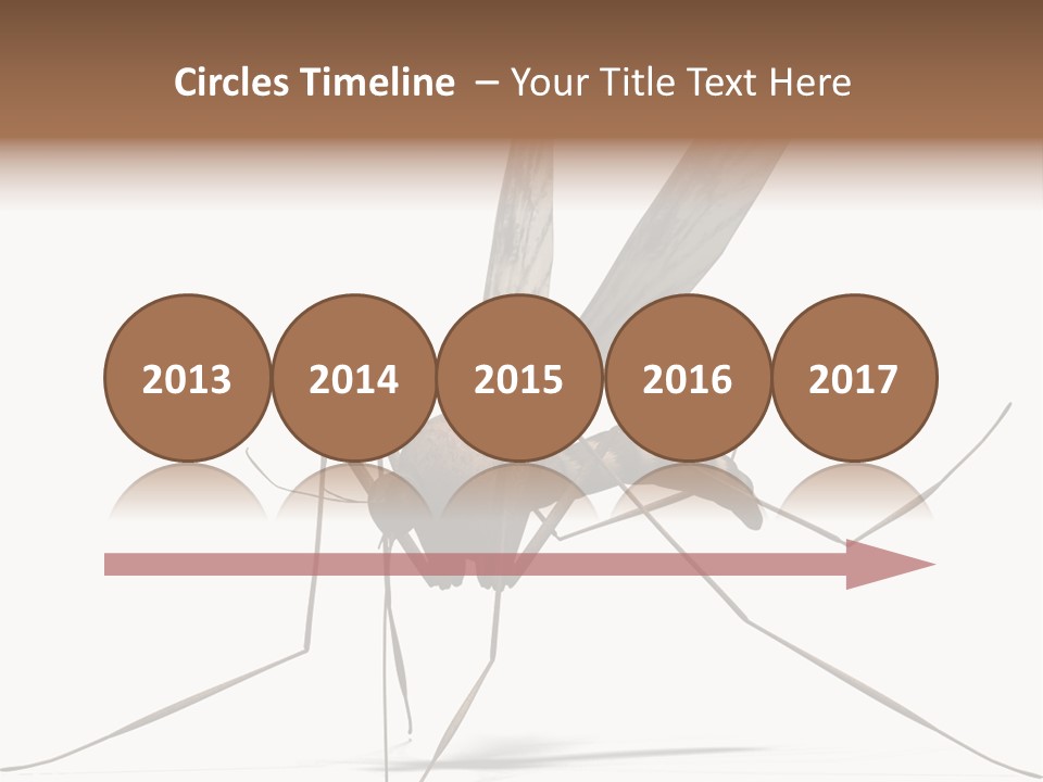 Krankheit Nuisance Zecke PowerPoint Template