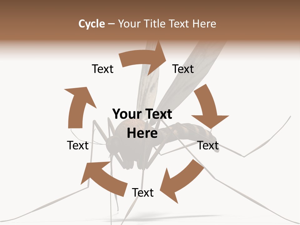 Krankheit Nuisance Zecke PowerPoint Template