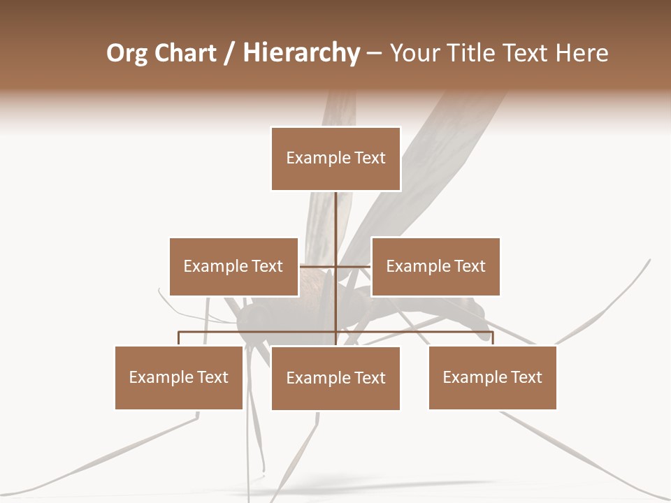 Krankheit Nuisance Zecke PowerPoint Template