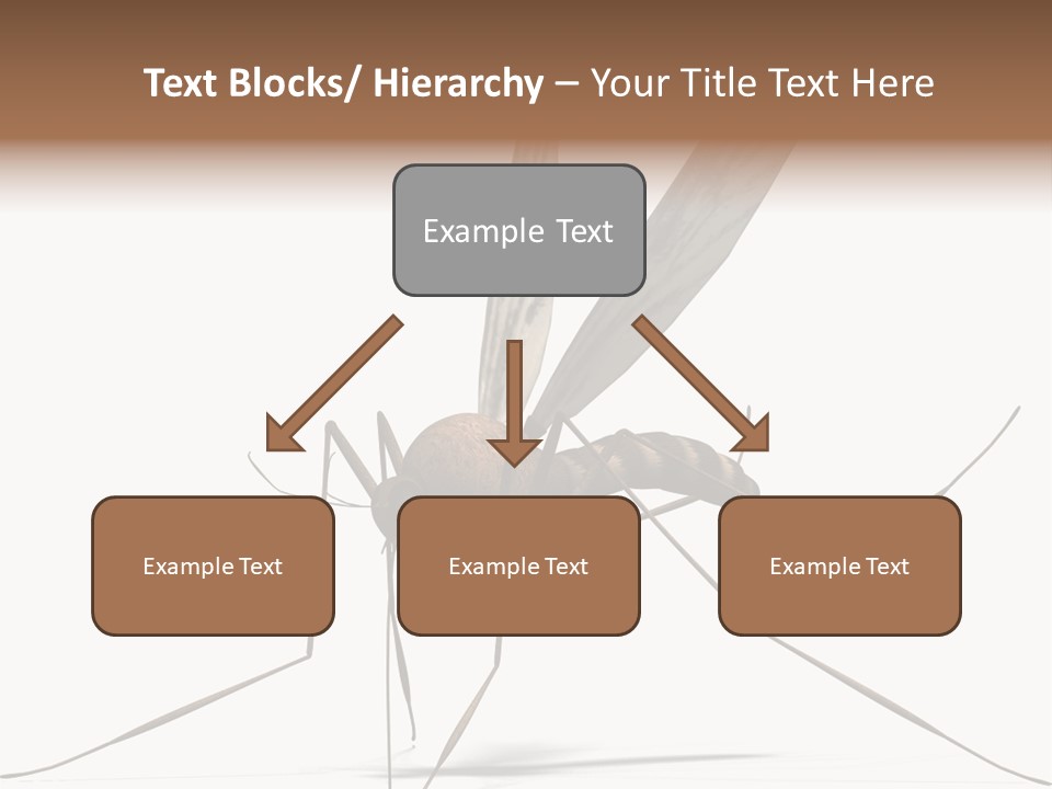 Krankheit Nuisance Zecke PowerPoint Template