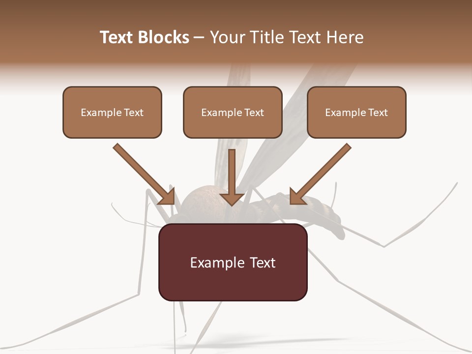 Krankheit Nuisance Zecke PowerPoint Template