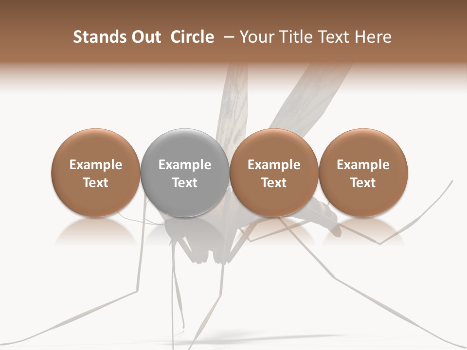 Krankheit Nuisance Zecke PowerPoint Template