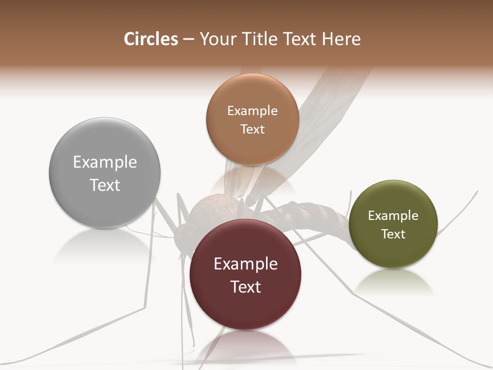 Krankheit Nuisance Zecke PowerPoint Template