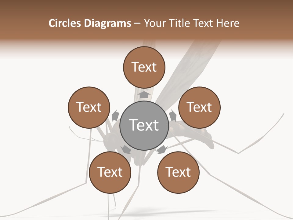 Krankheit Nuisance Zecke PowerPoint Template