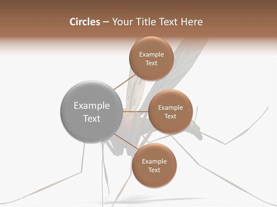 Krankheit Nuisance Zecke PowerPoint Template