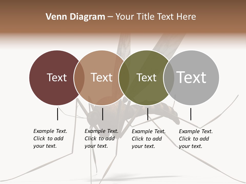 Krankheit Nuisance Zecke PowerPoint Template