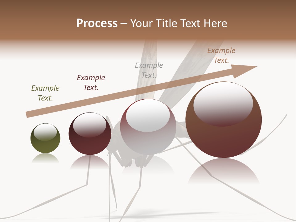 Krankheit Nuisance Zecke PowerPoint Template