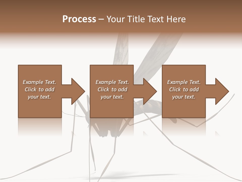 Krankheit Nuisance Zecke PowerPoint Template