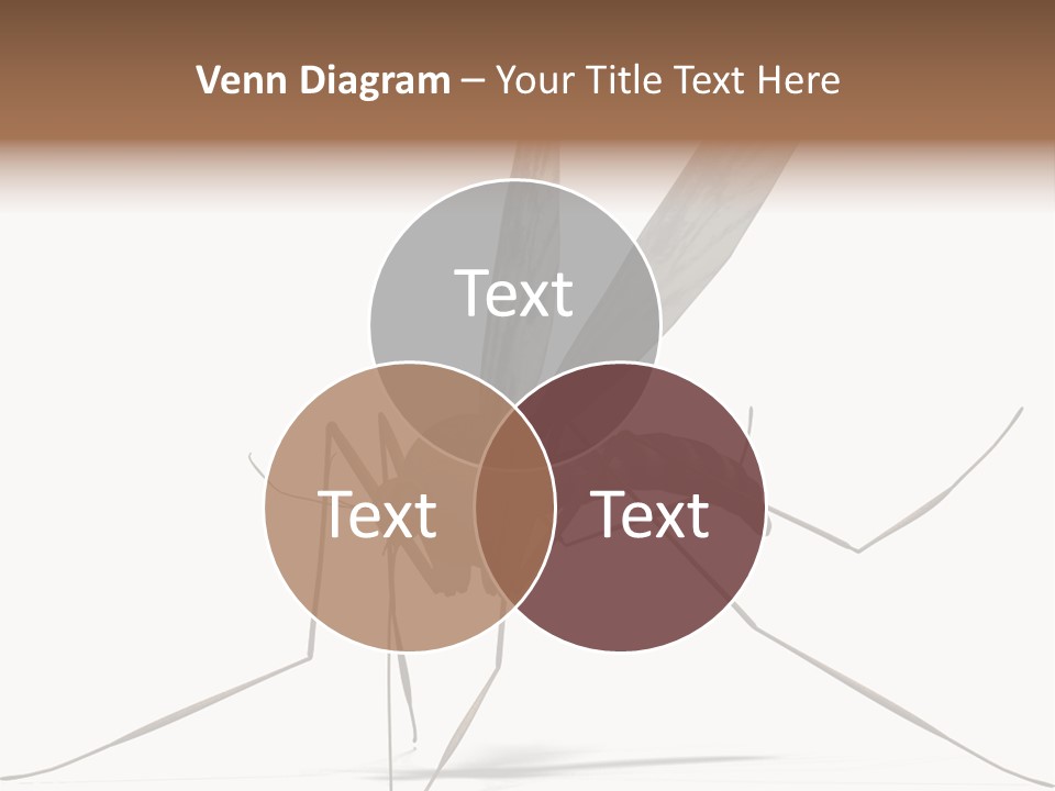 Krankheit Nuisance Zecke PowerPoint Template