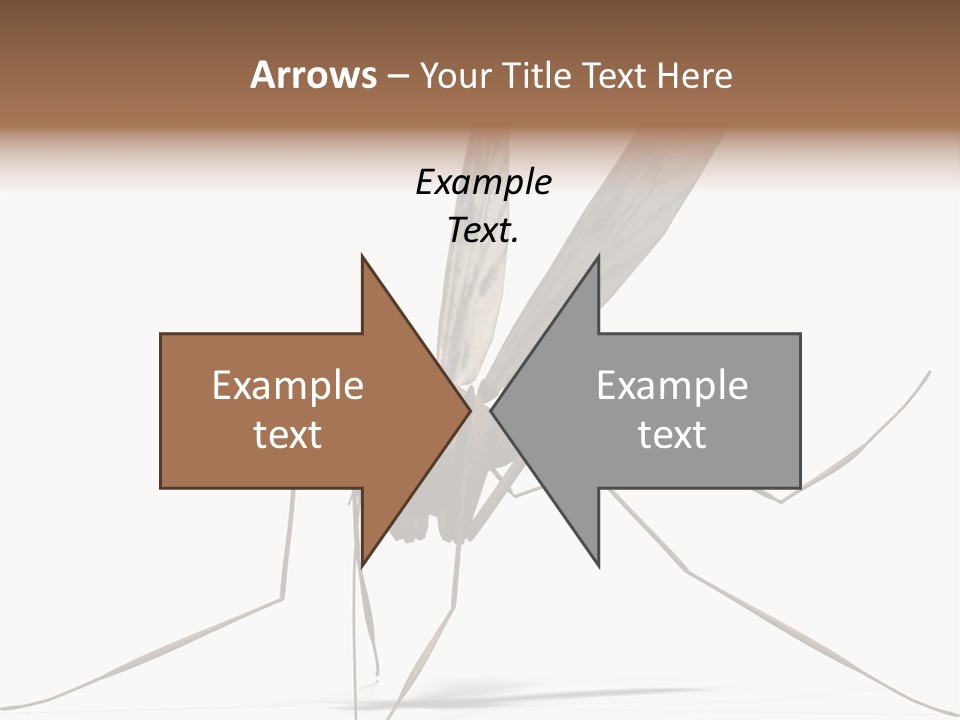 Krankheit Nuisance Zecke PowerPoint Template