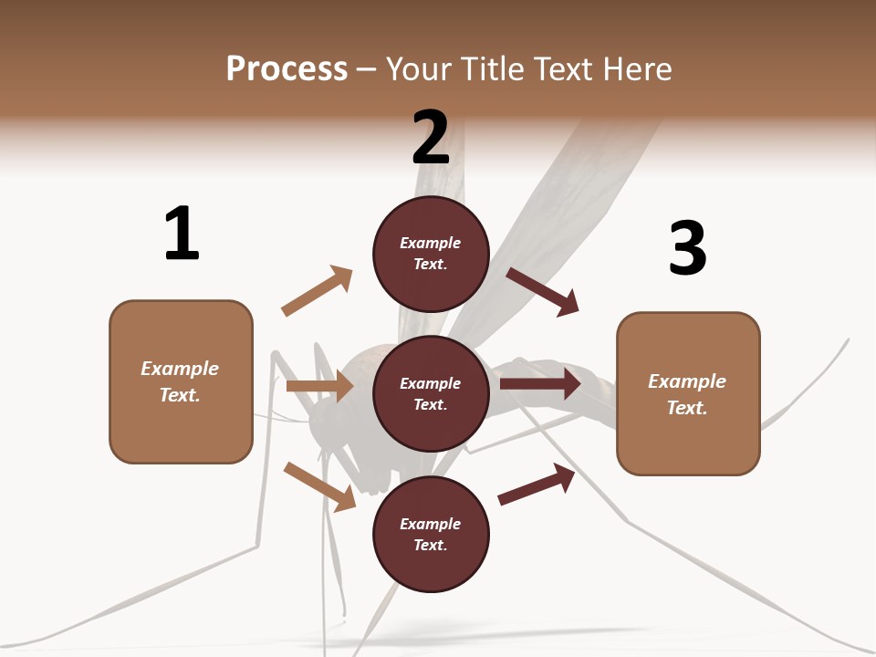 Krankheit Nuisance Zecke PowerPoint Template