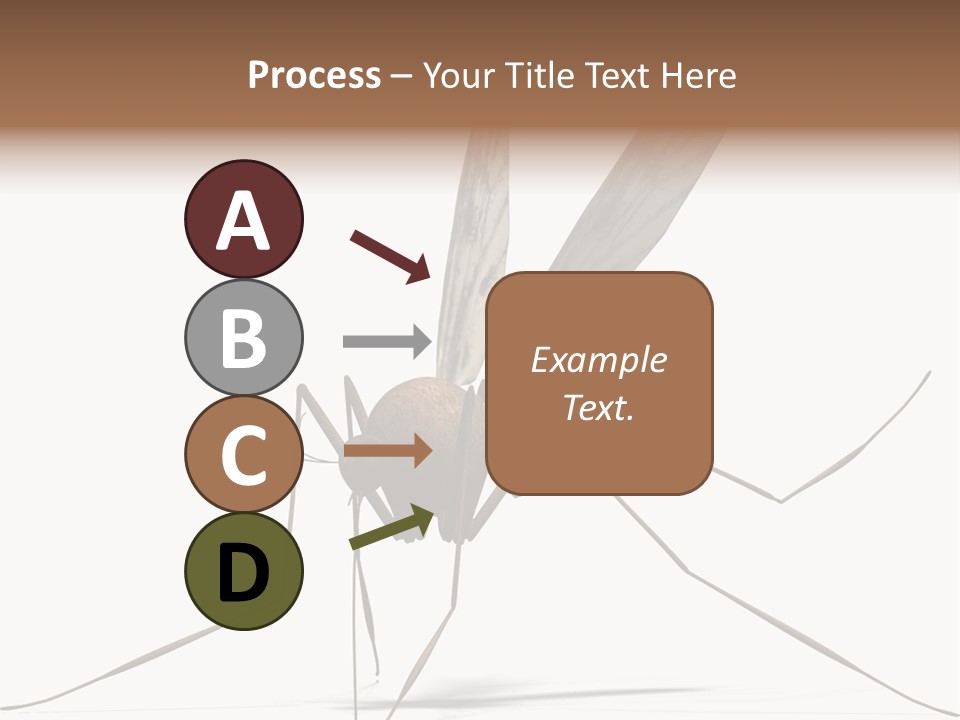 Krankheit Nuisance Zecke PowerPoint Template