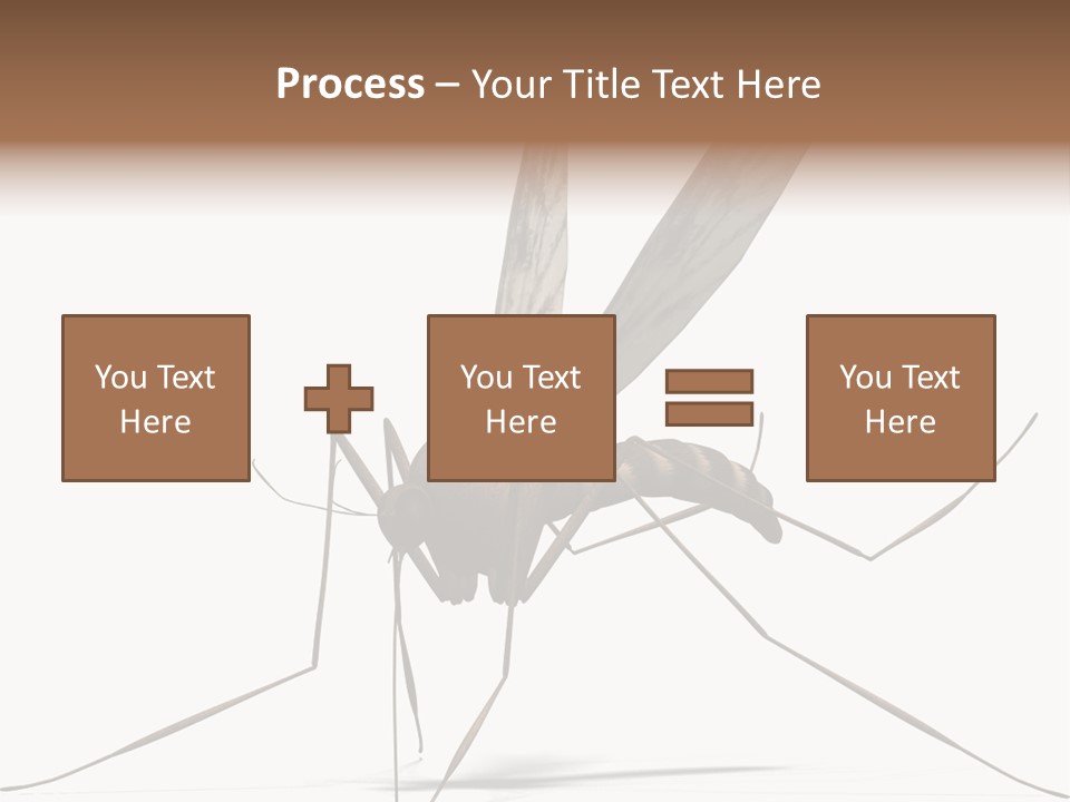 Krankheit Nuisance Zecke PowerPoint Template