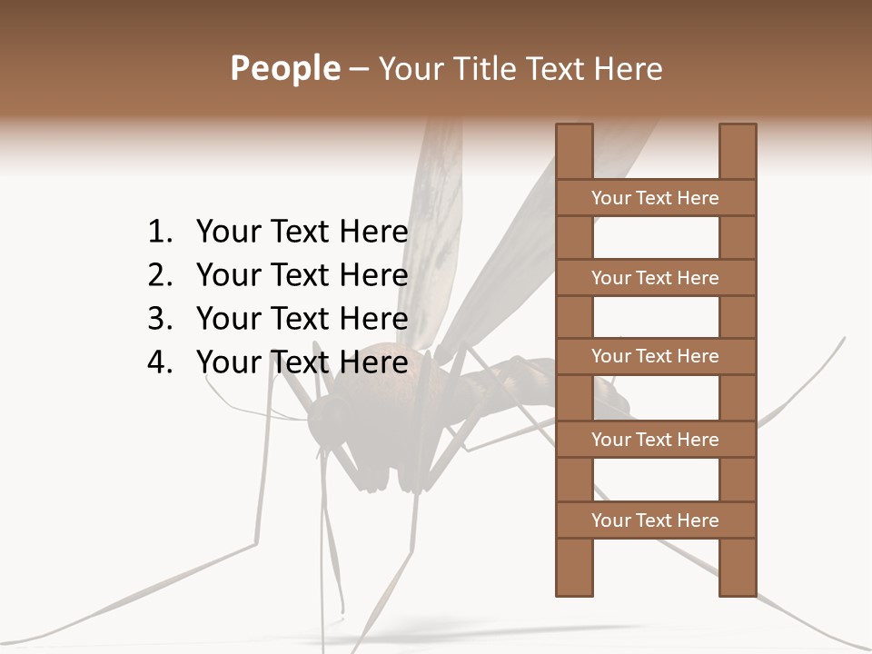 Krankheit Nuisance Zecke PowerPoint Template