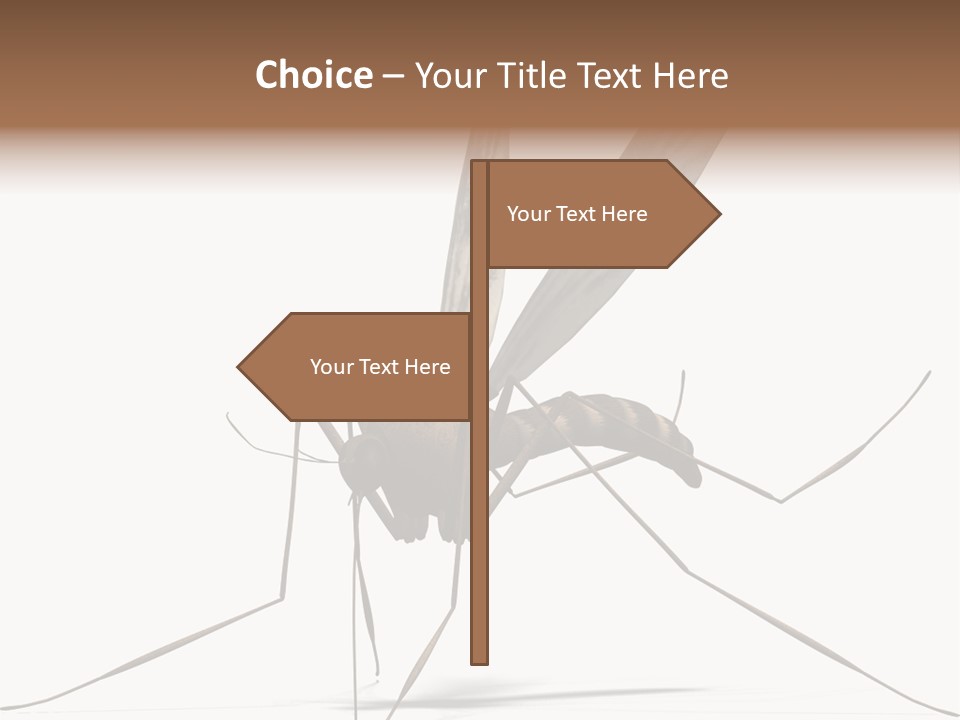 Krankheit Nuisance Zecke PowerPoint Template