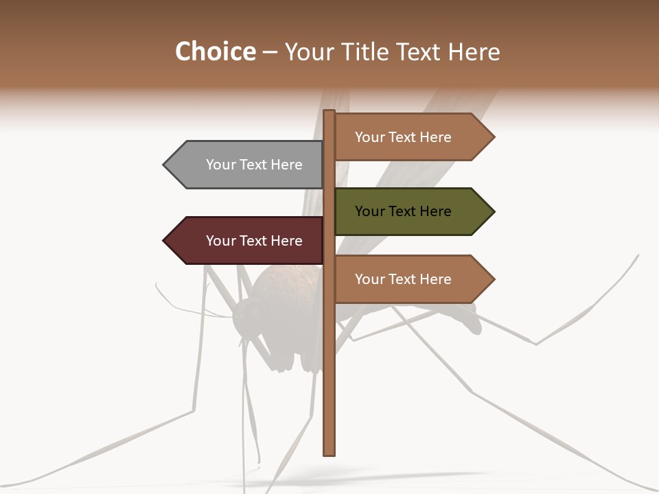 Krankheit Nuisance Zecke PowerPoint Template