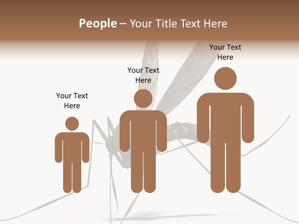 Krankheit Nuisance Zecke PowerPoint Template