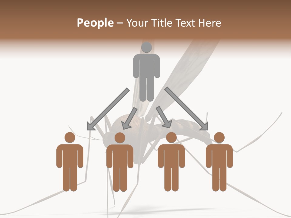 Krankheit Nuisance Zecke PowerPoint Template