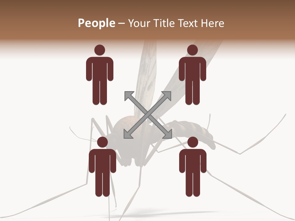 Krankheit Nuisance Zecke PowerPoint Template