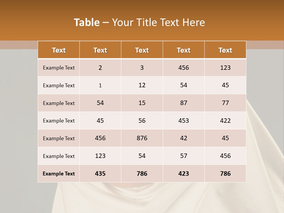 Veil White Mysterious PowerPoint Template