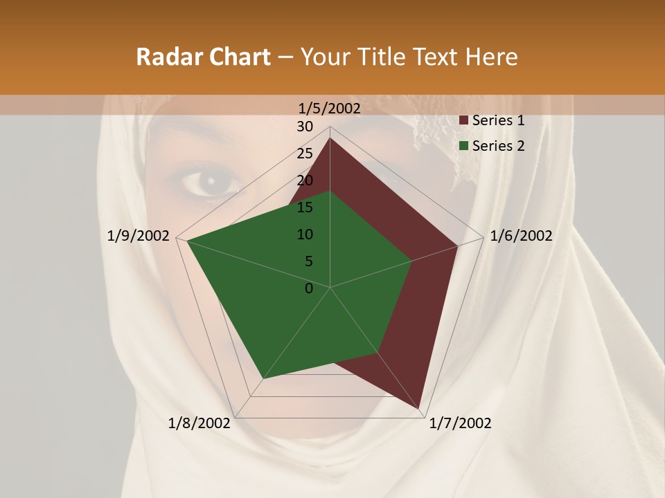 Veil White Mysterious PowerPoint Template