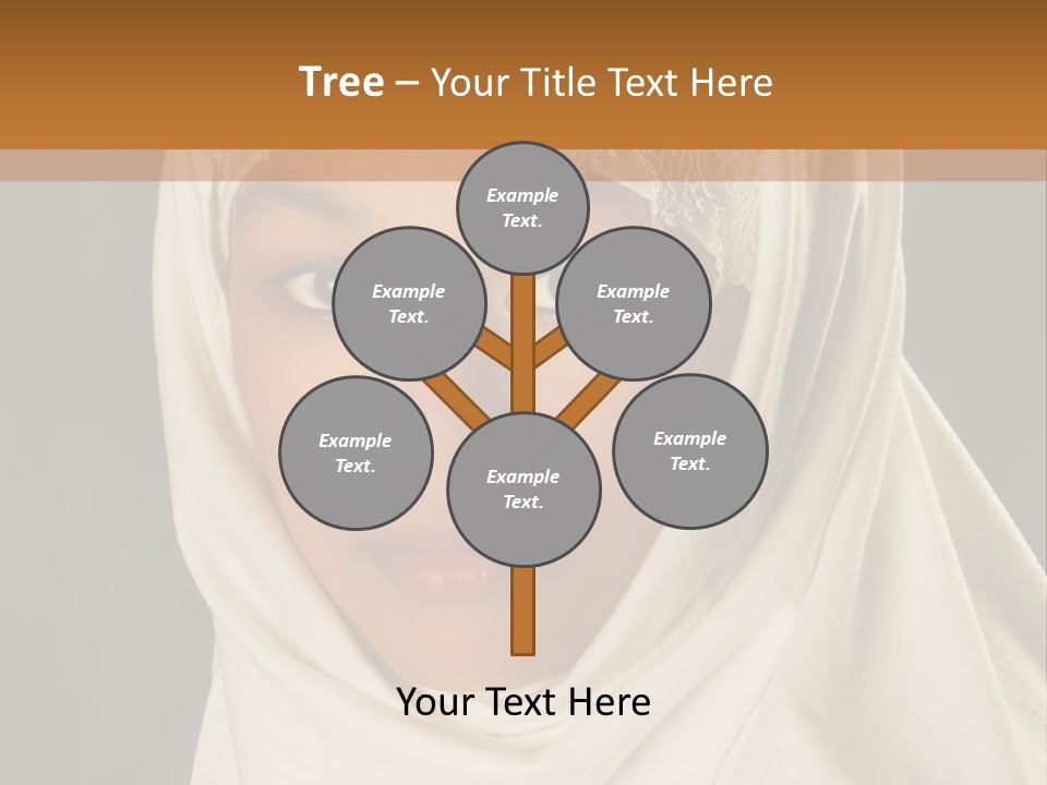 Veil White Mysterious PowerPoint Template