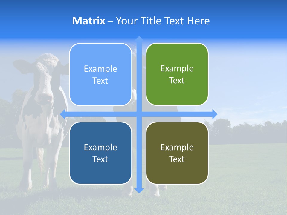 Agriculture Grazing Fresian PowerPoint Template