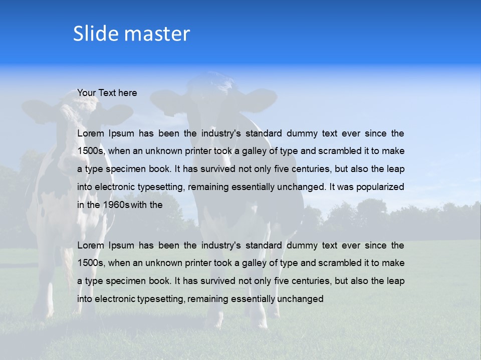 Agriculture Grazing Fresian PowerPoint Template