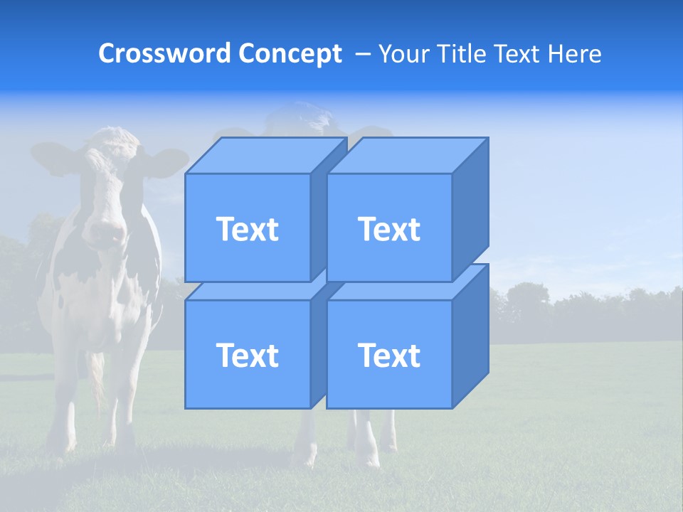Agriculture Grazing Fresian PowerPoint Template