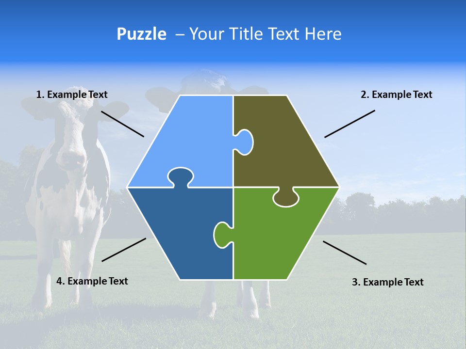 Agriculture Grazing Fresian PowerPoint Template