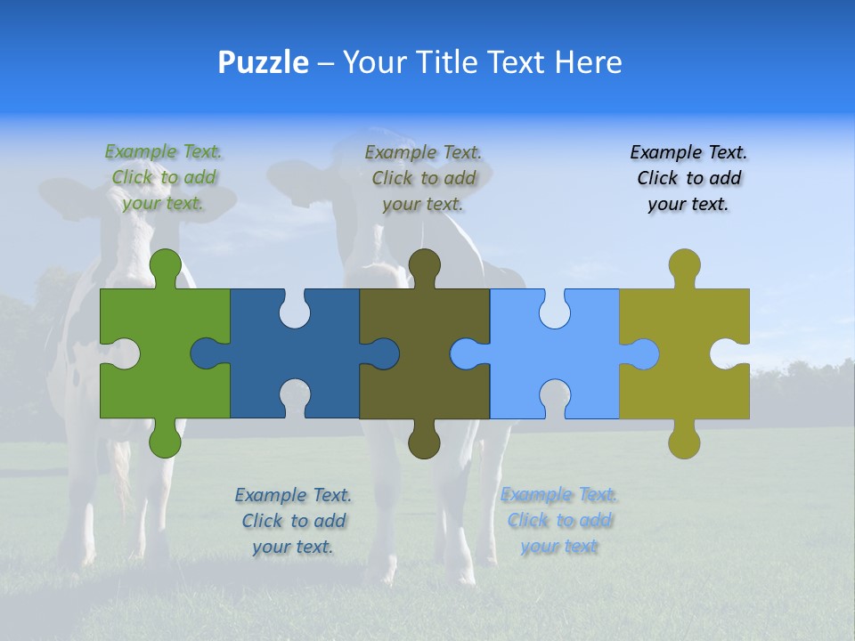 Agriculture Grazing Fresian PowerPoint Template