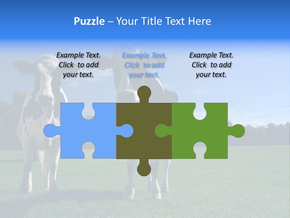 Agriculture Grazing Fresian PowerPoint Template