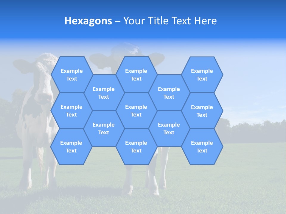 Agriculture Grazing Fresian PowerPoint Template