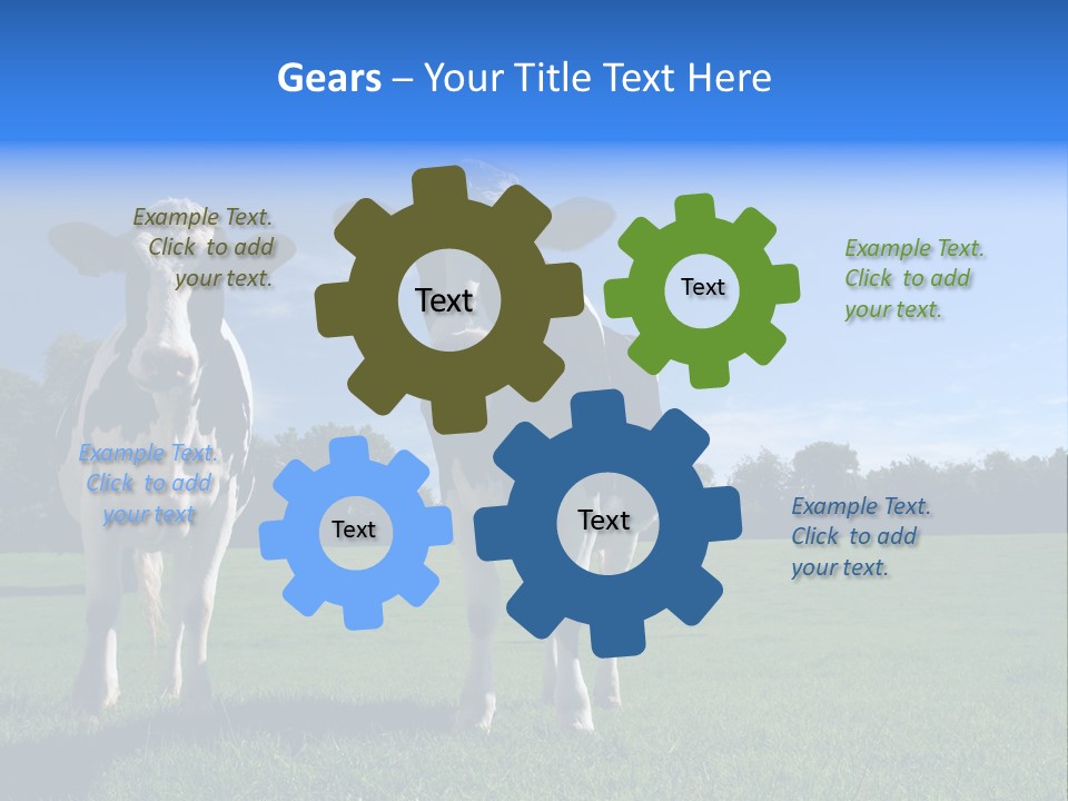 Agriculture Grazing Fresian PowerPoint Template