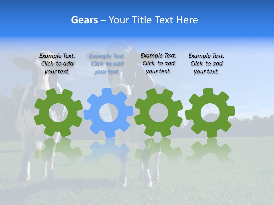 Agriculture Grazing Fresian PowerPoint Template