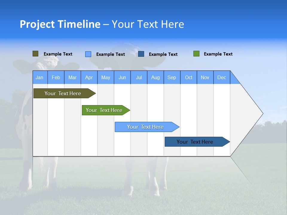 Agriculture Grazing Fresian PowerPoint Template