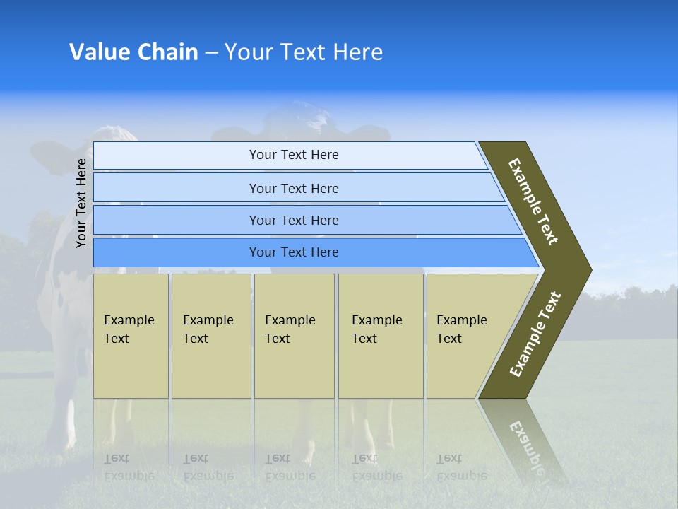 Agriculture Grazing Fresian PowerPoint Template