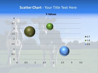 Agriculture Grazing Fresian PowerPoint Template