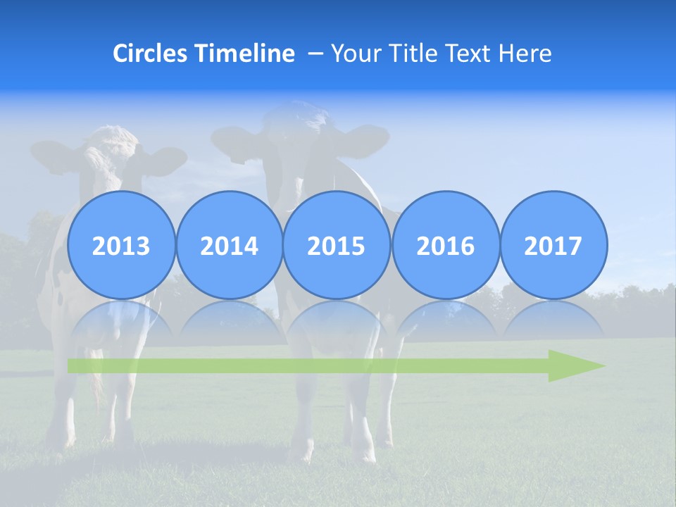 Agriculture Grazing Fresian PowerPoint Template