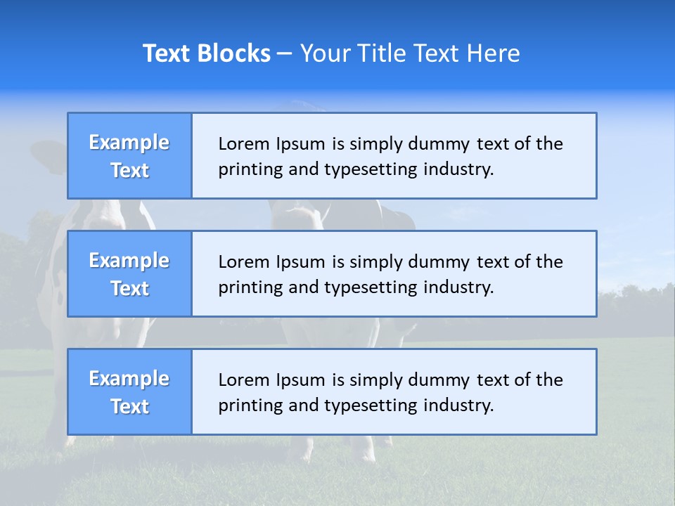 Agriculture Grazing Fresian PowerPoint Template