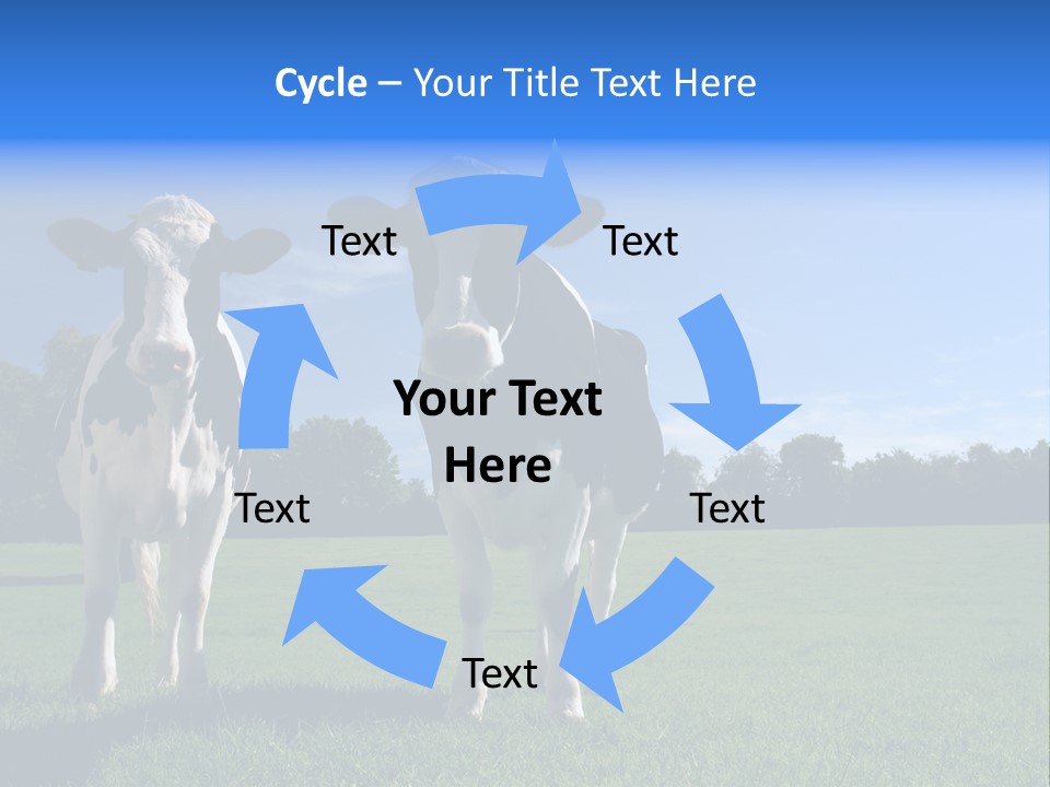 Agriculture Grazing Fresian PowerPoint Template