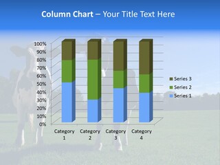 Agriculture Grazing Fresian PowerPoint Template