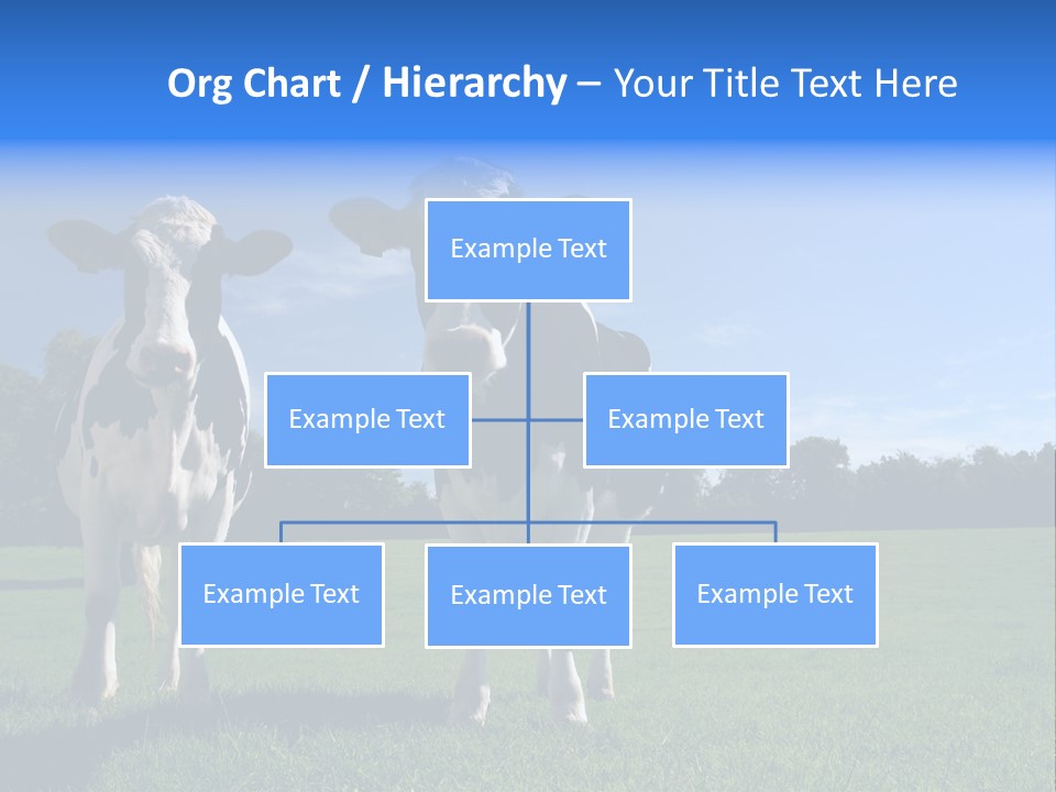 Agriculture Grazing Fresian PowerPoint Template
