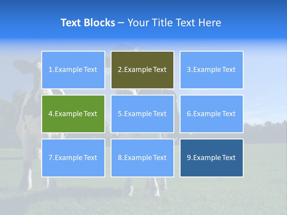 Agriculture Grazing Fresian PowerPoint Template