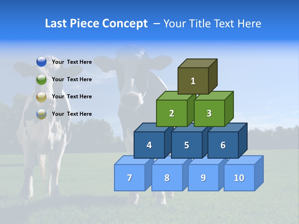 Agriculture Grazing Fresian PowerPoint Template