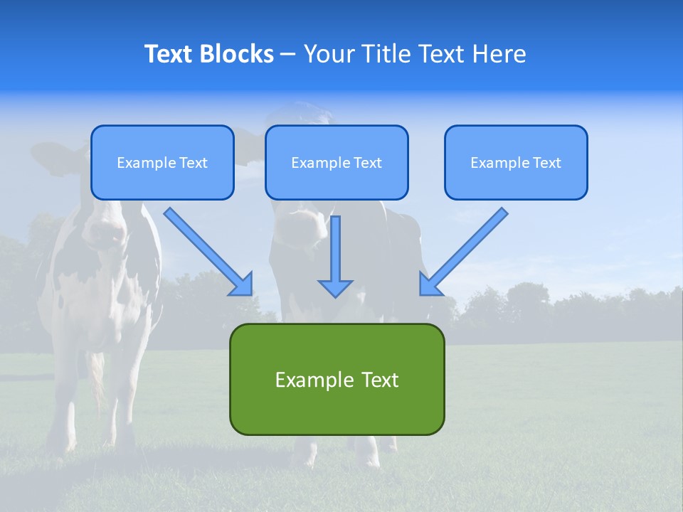 Agriculture Grazing Fresian PowerPoint Template