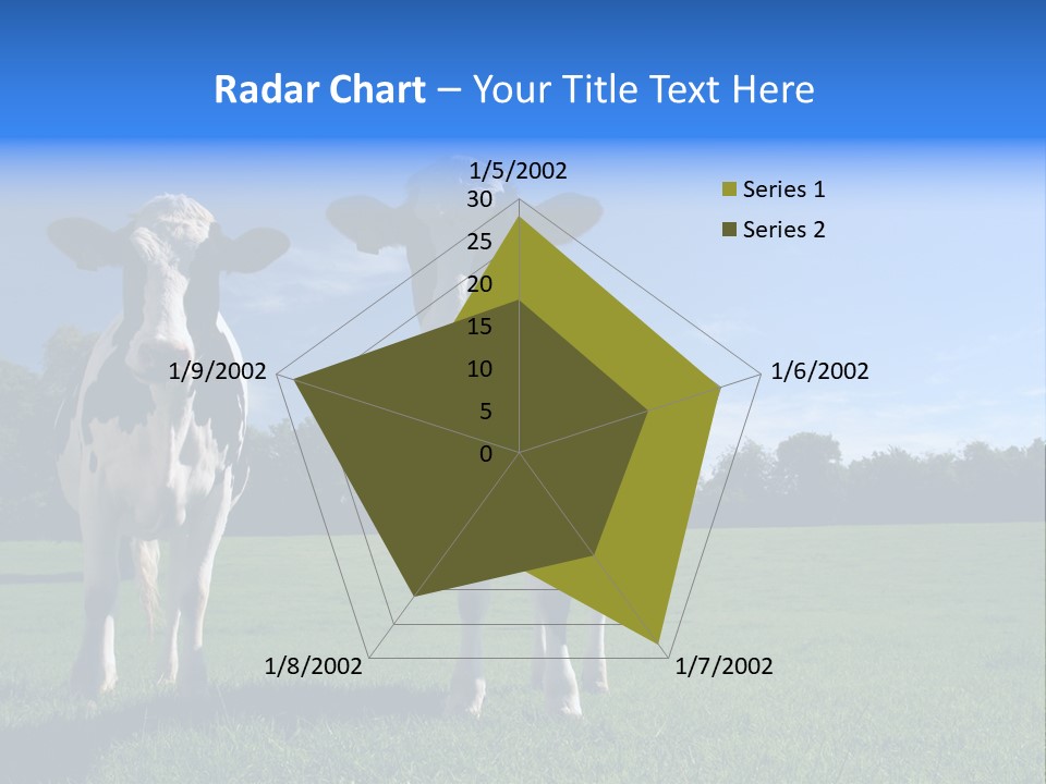 Agriculture Grazing Fresian PowerPoint Template