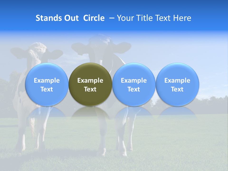 Agriculture Grazing Fresian PowerPoint Template